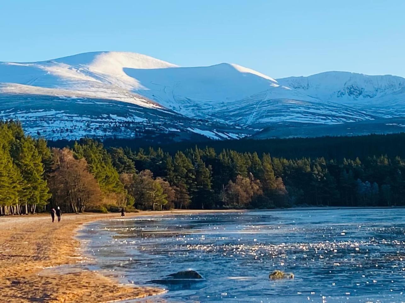 Hideaway Pod Near Loch Ness For A Tranquil Retreat Apartment Lewiston